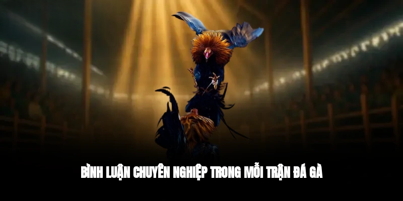 Đá Gà DAGA – Kịch Tính, Sôi Động, Tỷ Lệ Thưởng Bùng Nổ